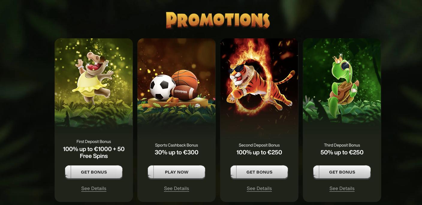 Promotions Cashwin